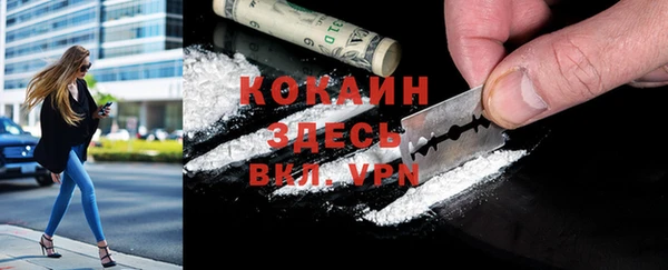 прущий лед Ельня