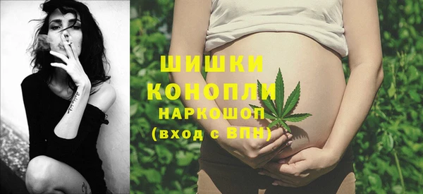 прущие крисы Елизово