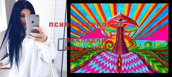 прущий лед Ельня