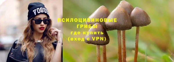 прущие крисы Елизово