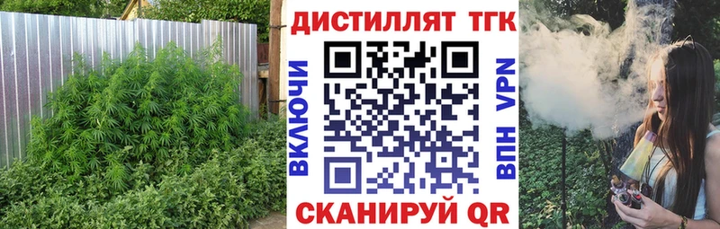 Купить где  Сосновый Бор  Дистиллят ТГК гашишное масло 